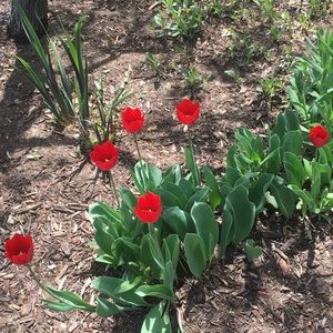 Meet your Posher, Bhd